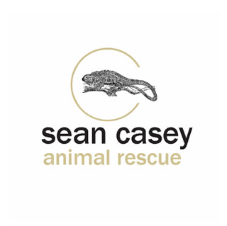 Sean Casey Animal Rescue